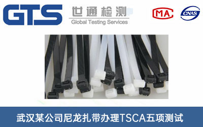 ��������TSCA��헜yԇ