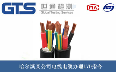 늾���|LVDָ��